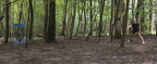 Discgolf