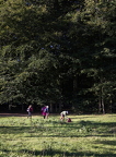 Disc Golf Knæk Cancer 2023
