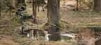 WTD20240042 copy