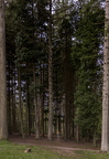  T9A6951